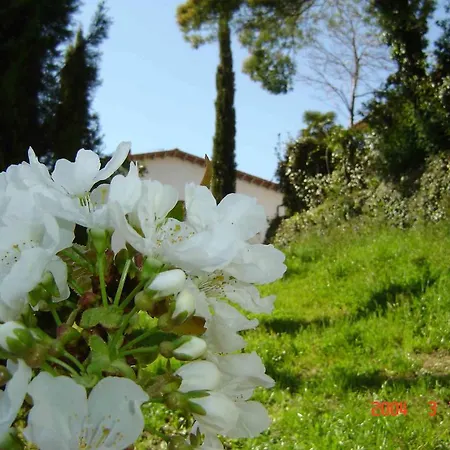 Podere