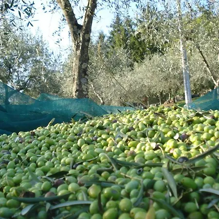 Podere
