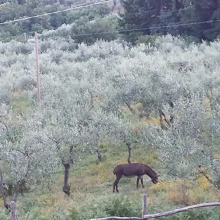 Guest house Podere
