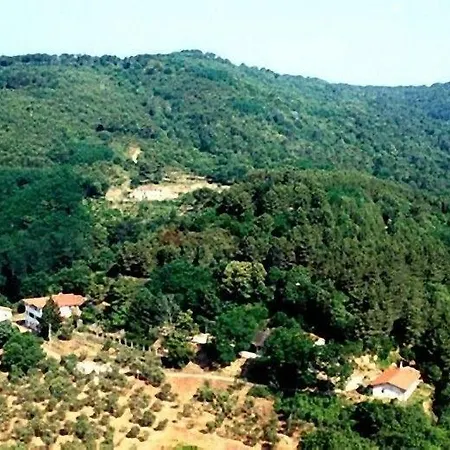 Podere