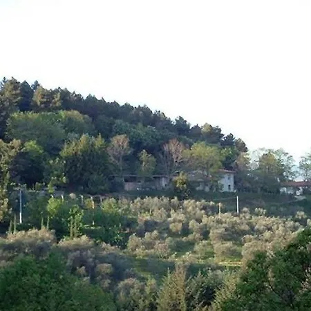 Guest house Podere