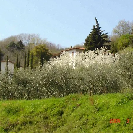 Podere