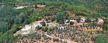 Podere