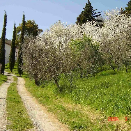 Podere