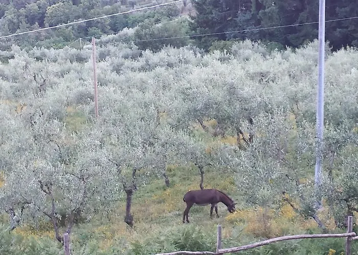Πανσιόν Podere